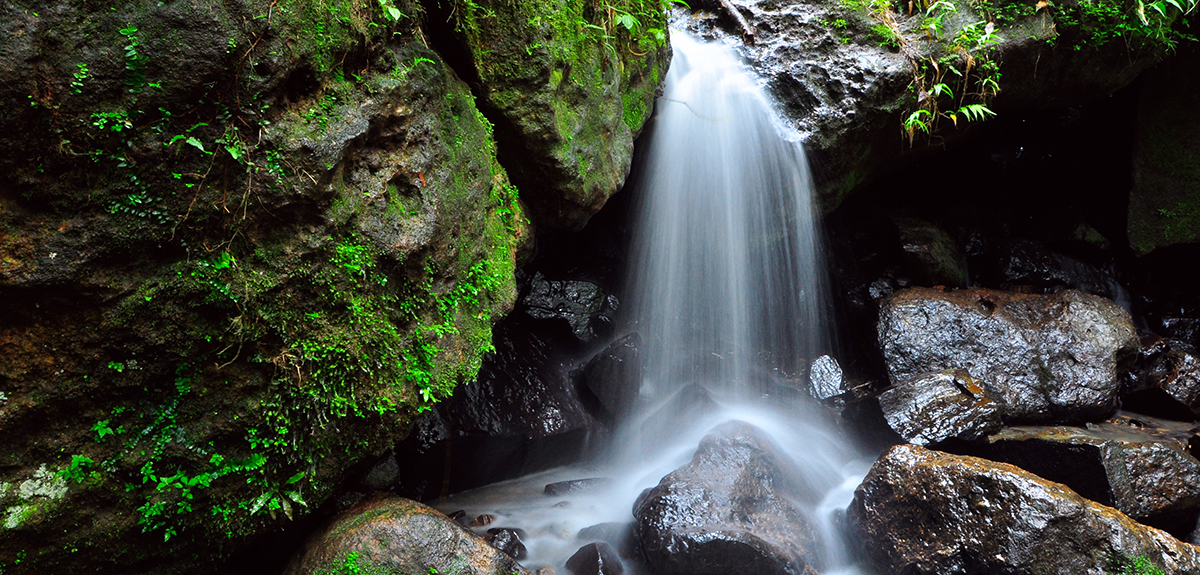 Teach in Puerto Rico