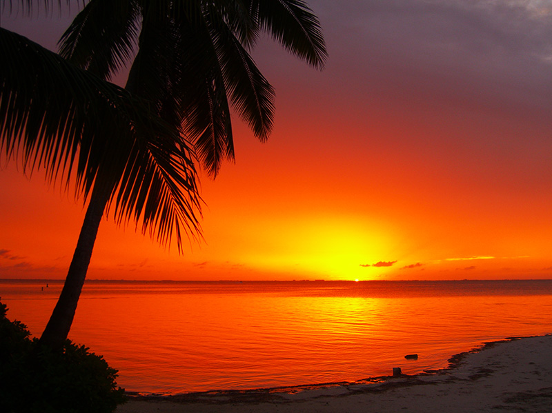 Teach in the Cayman Islands