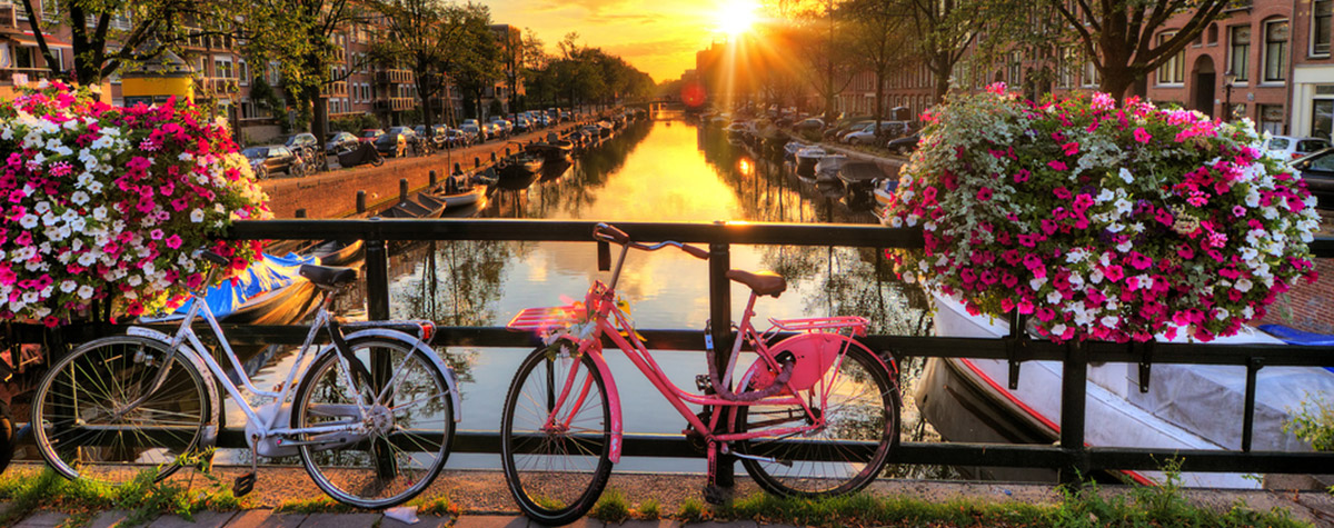 teaching in netherlands