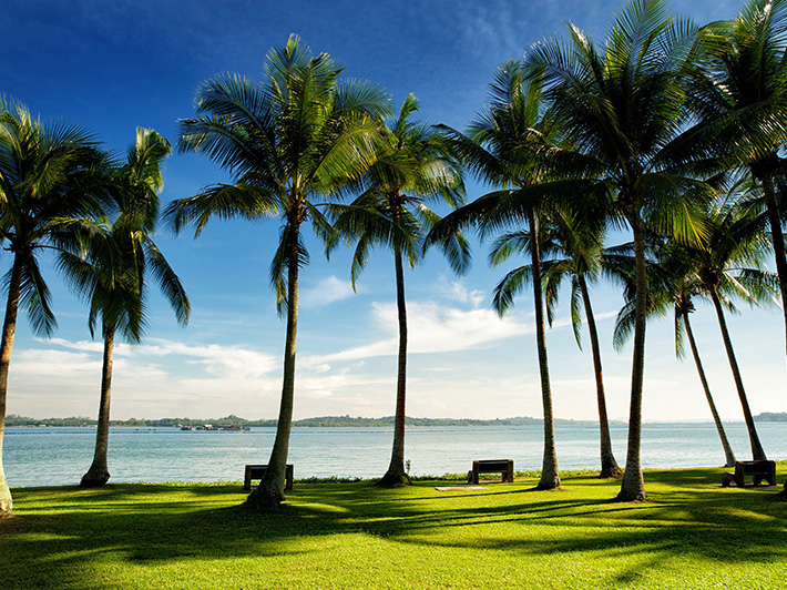 Things for teachers to do in Singapore